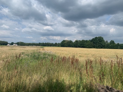 Stavební parcely Břehy u Přelouče