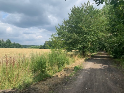 Stavební parcely Břehy u Přelouče