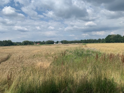 Stavební parcely Břehy u Přelouče