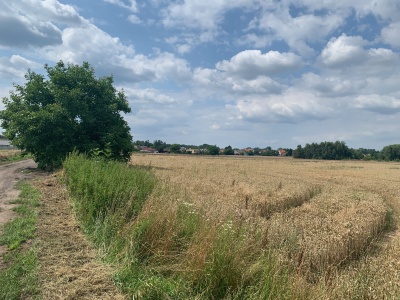 Stavební parcely Břehy u Přelouče