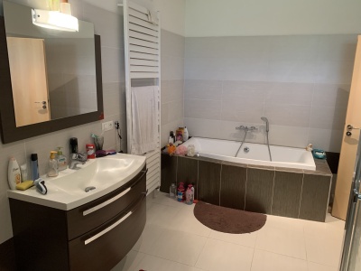 Prostorný rodinný dům 6+1 s bazénem v obci Dřenice