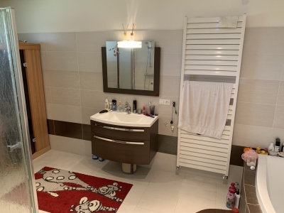 Prostorný rodinný dům 6+1 s bazénem v obci Dřenice