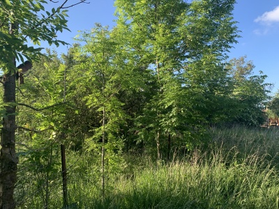 Prodej stavebního pozemku - Bylany u Chrudimi, 818 m