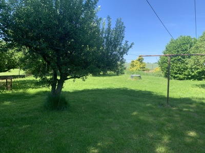 Rodinný dům 3+1 s velkým pozemkem – Třibřichy