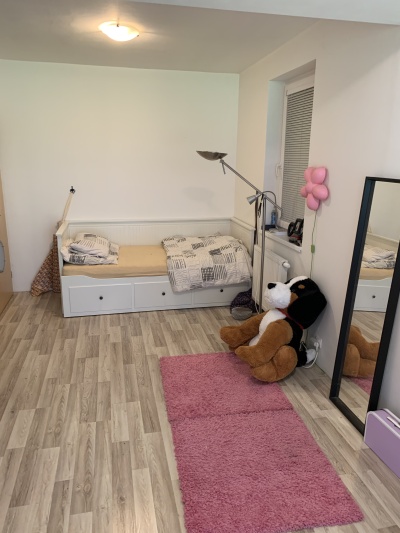 Prostorný rodinný dům 6+1 s bazénem v obci Dřenice