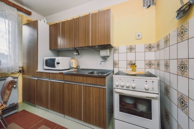 Rodinný dům 3+1 s rozlehlým pozemkem - Dolní Ředice